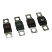 Midi Fuses